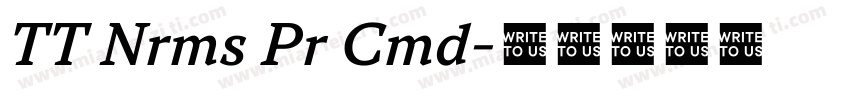 TT Nrms Pr Cmd字体转换